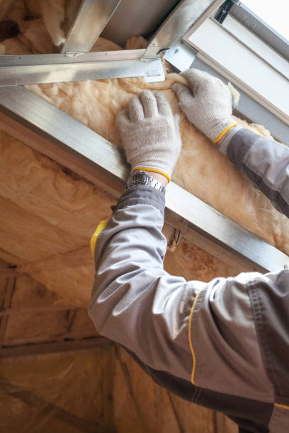 Best Insulation Installation Services in Holyoke, CO